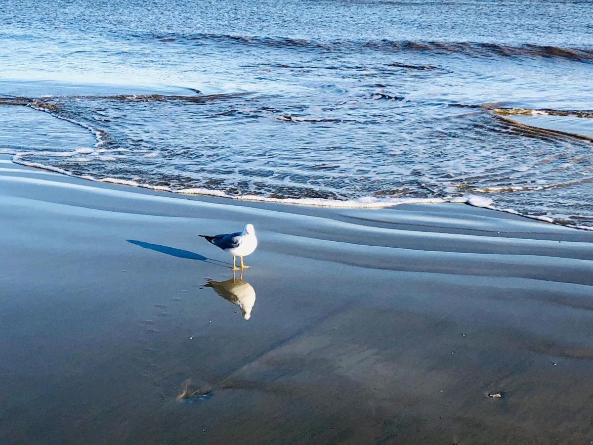 Salty Breeze At Demere Landing Unit 168 - Salt Air Dr Villa St. Simons Island Bagian luar foto